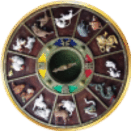 ectogel